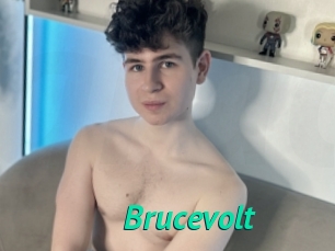 Brucevolt