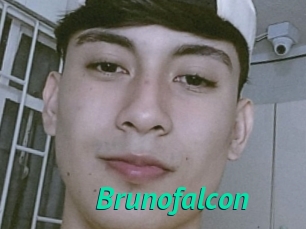 Brunofalcon