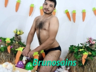 Brunosains