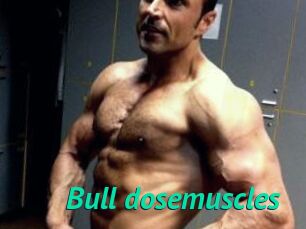 Bull_dosemuscles