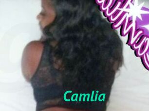 Camlia