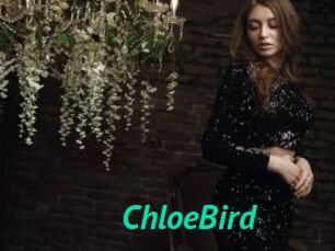 ChloeBird