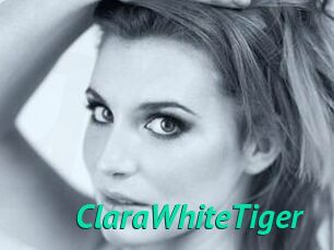 ClaraWhiteTiger
