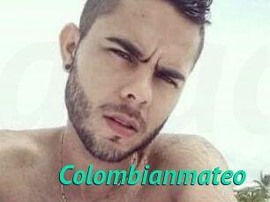 Colombian_mateo