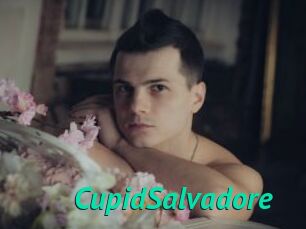 CupidSalvadore