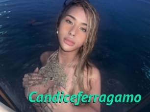 Candiceferragamo