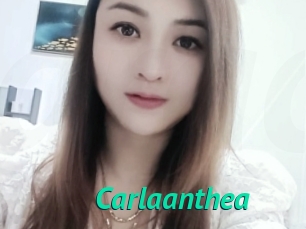 Carlaanthea