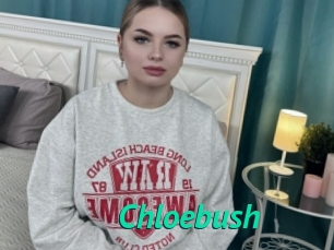 Chloebush