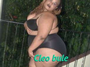 Cleo_bule