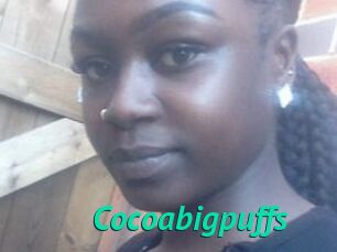 Cocoabigpuffs