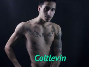 Coltlevin