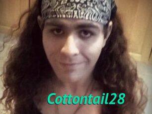 Cottontail28