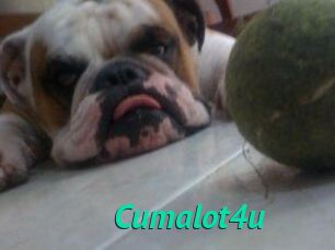 Cumalot4u