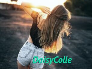 DaisyColle