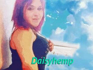 Daisy_hemp