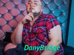 DanyBridge