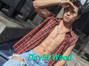David_Wood