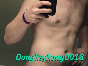 Dongkeykong0018