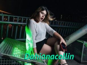 Dahianacollin