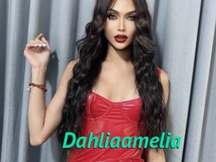 Dahliaamelia