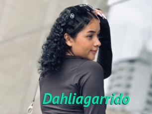 Dahliagarrido