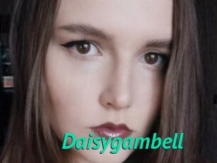 Daisygambell