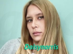 Daisynorris