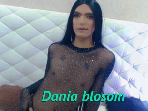 Dania_blosom