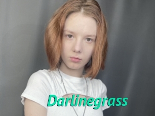 Darlinegrass