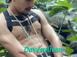 Davesulivan