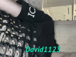 David1123