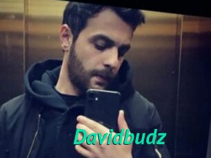 Davidbudz