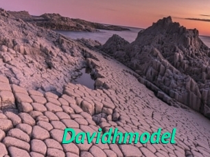 Davidhmodel