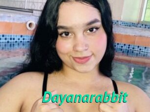 Dayanarabbit