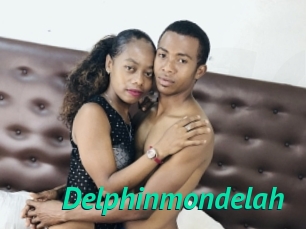 Delphinmondelah