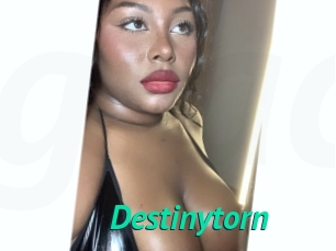 Destinytorn