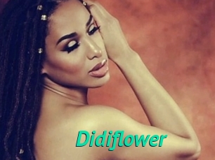 Didiflower