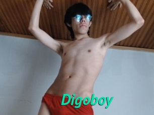 Digoboy