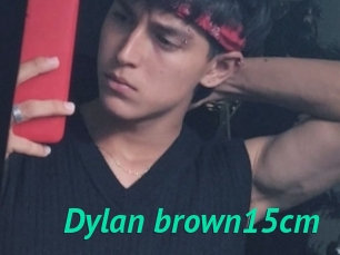 Dylan_brown15cm