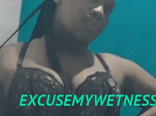 EXCUSEMYWETNESS