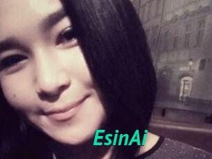 EsinAi