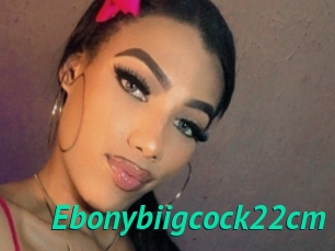 Ebonybiigcock22cm