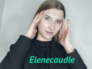 Elenecaudle