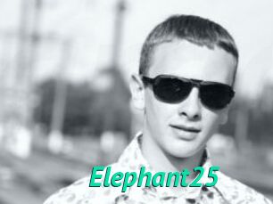 Elephant25