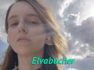 Elvabucher