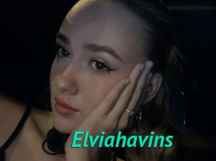 Elviahavins