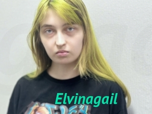 Elvinagail