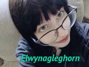 Elwynagleghorn