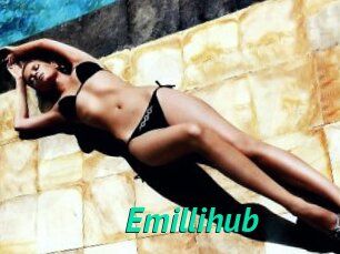 Emillihub