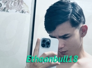 Ethaanbull18